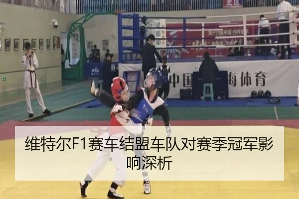 维特尔F1赛车结盟车队对赛季冠军影响深析